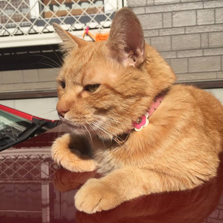 B07e3513 c7ca 412d 94e0 e30474f48990