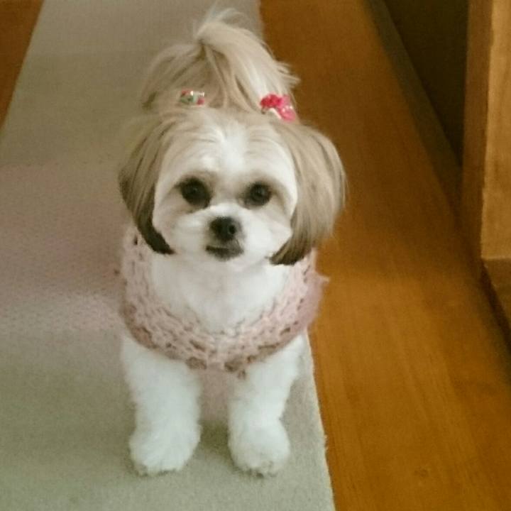 B07e443a 4c57 43ab 989a 7bec80c12dc4