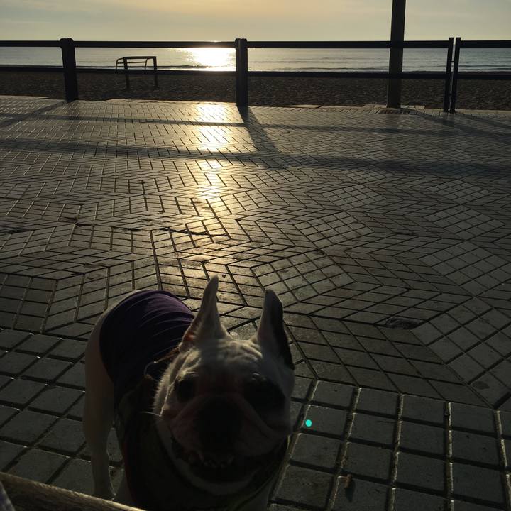 B07e80e1 96a3 44ff b958 c54e7d7673f4