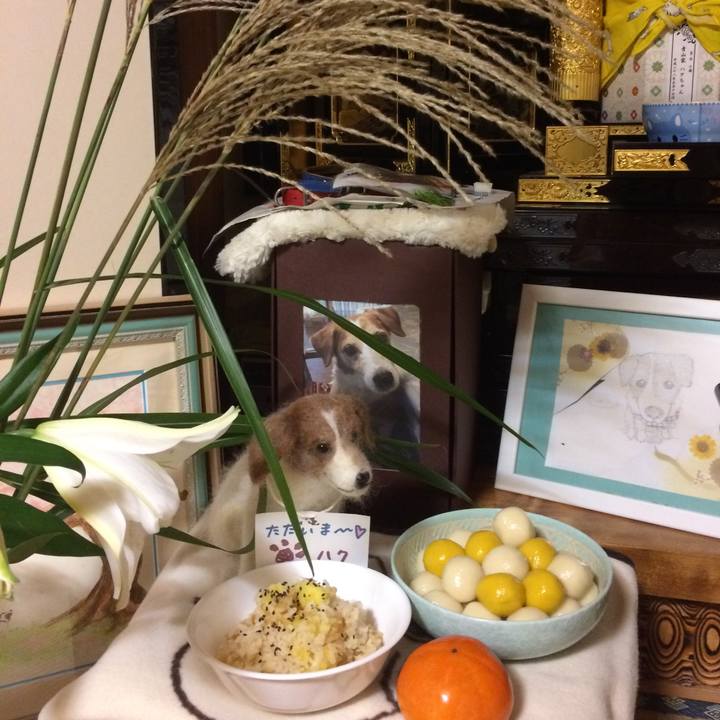 B07f16bc 8ec9 4028 97c8 8c4e7e3de3d4