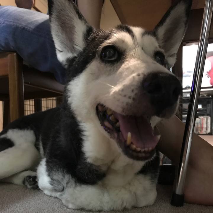 B07f38e2 0567 42bb 8298 085822216f5d