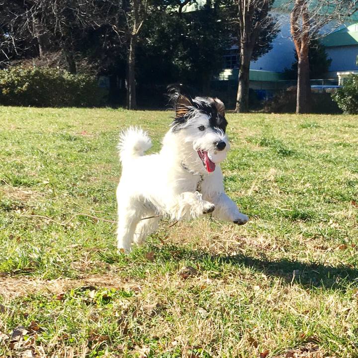 B080a881 e543 4a61 9053 6a3f5aa48719