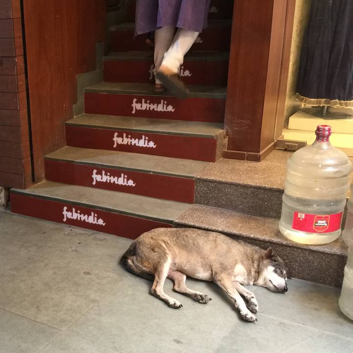 B0818b4d 9c98 46c3 a454 91c4fa1d5c11