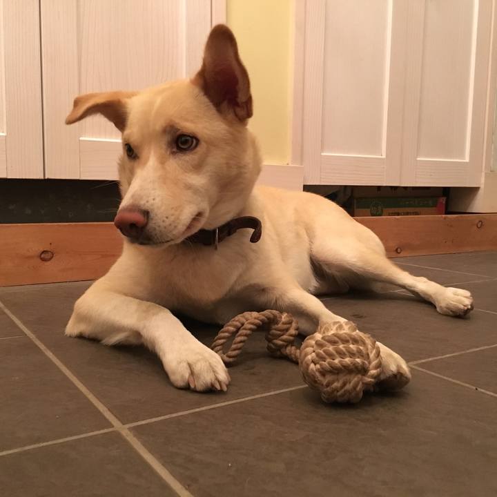 B0832614 4fe9 440a abdd 06b9bb7b50e7