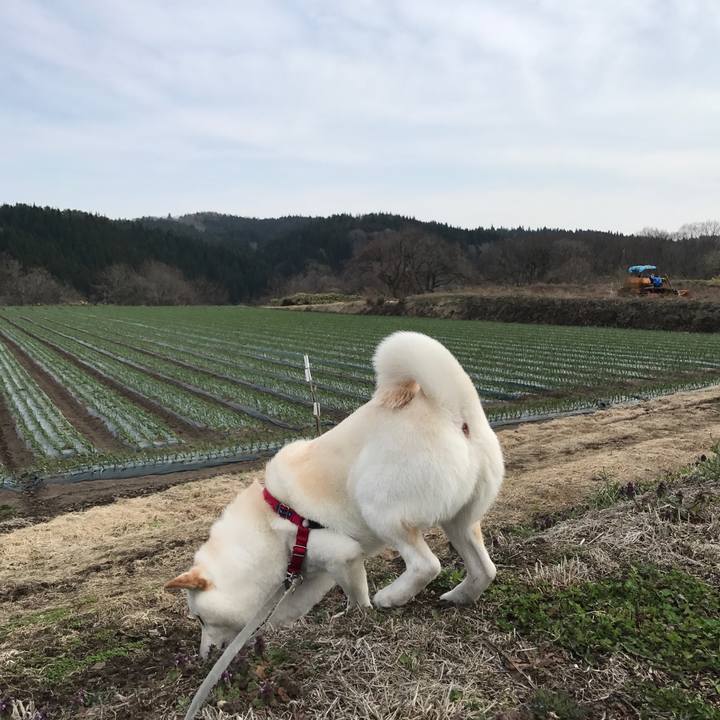 B083d7dc c564 4bb8 94a8 19984f11d696