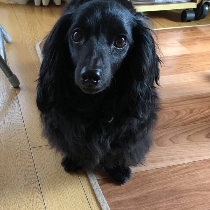 B08407b5 84b2 4586 aa79 e3187edac36c