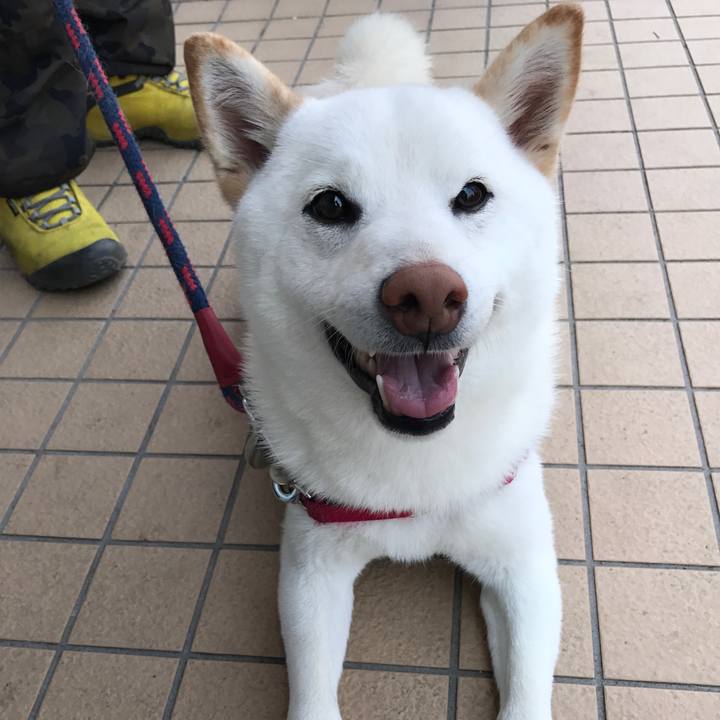 B0850413 fcce 4d60 9915 cd3ad2179e37