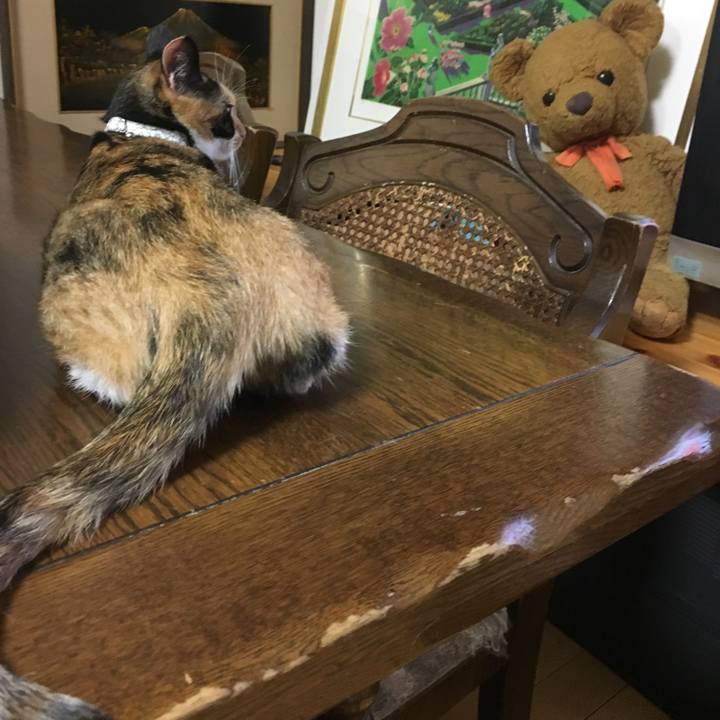 B0854ebe 3ed5 430c 8e90 5e9fa4aa0677