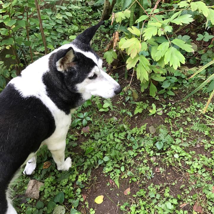 B0857a9a c401 41a2 b81a ba33ec3ce271