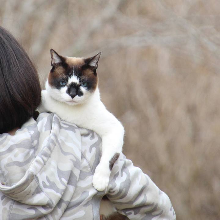 B08647b3 4b6d 477d b9ae c3b0c5b11d74