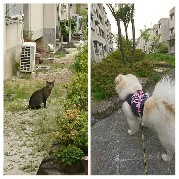 B086f48f 715a 46a5 9664 7bad74155b4a