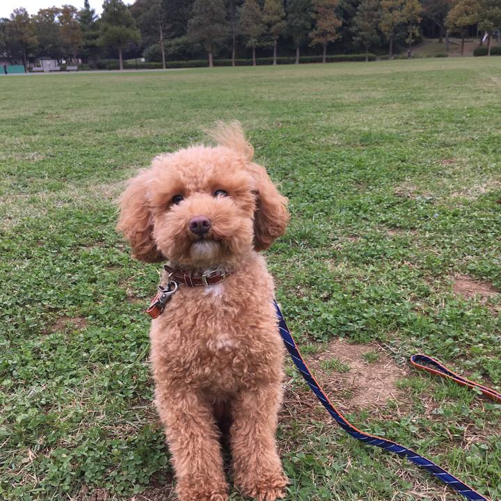 B0874cb2 7774 4e8b b758 7da7f7d83587