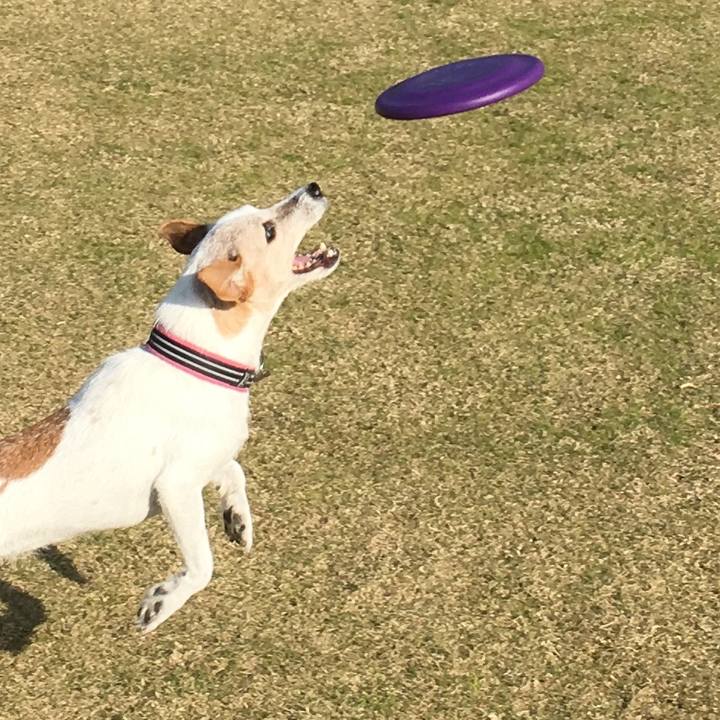 B087660e 7de8 4a39 858f da911a7faf89