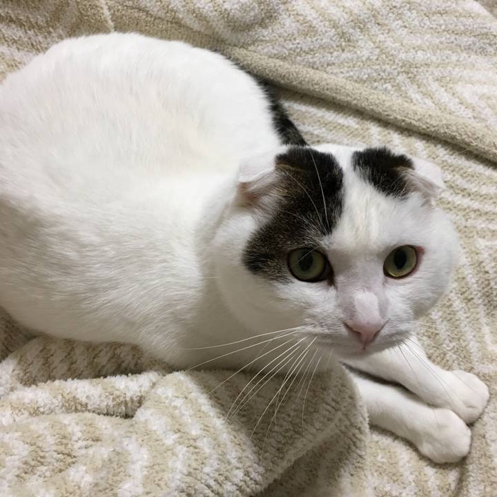 B088577b eb9b 43ad bc13 e007721e7ed1