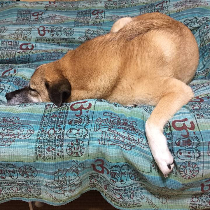 B088e216 ca07 4297 9475 276cfbaa6e53