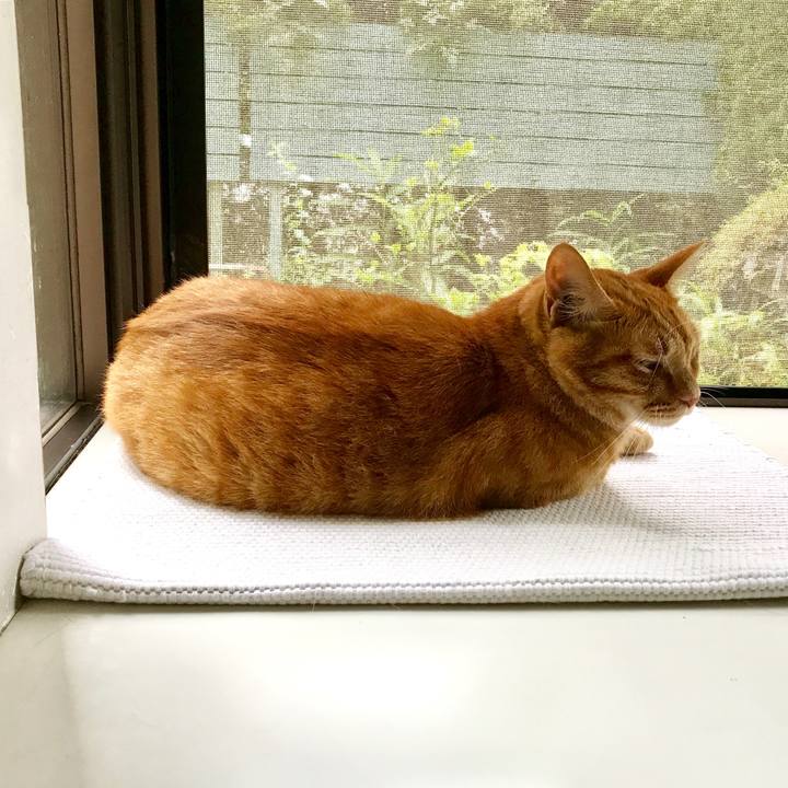 B08914e4 62ca 4e51 939b b5d8d00f756e