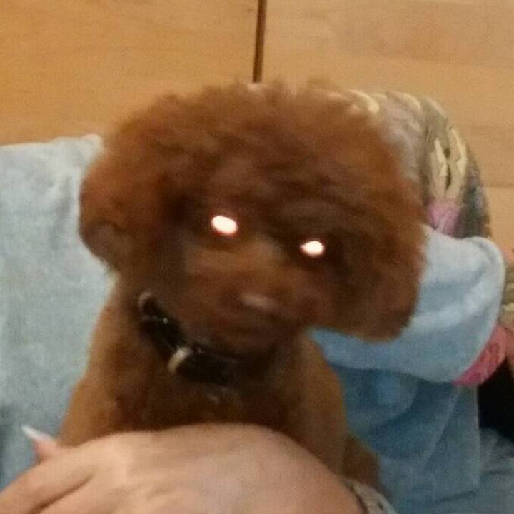 B089299a 57e6 4c35 a309 9dd8edc94e9e