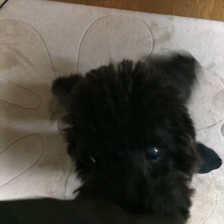 B0896b2d f594 4f3c 8bc7 ef391f5ebb0e