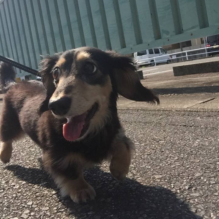 B08ab977 addd 4957 9fdf f8c65c9274f3