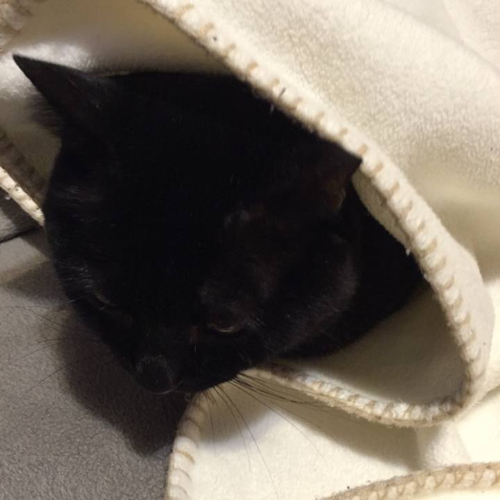 B08b4910 f860 4cdc 9cbe 9bcca6c8d1a5