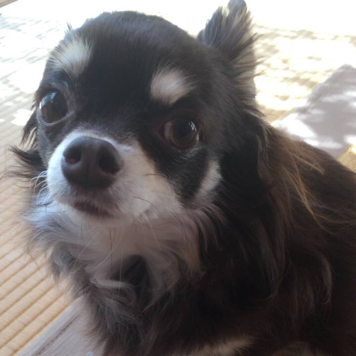 B08b50bd 078c 48d4 aef0 0648c05c199f