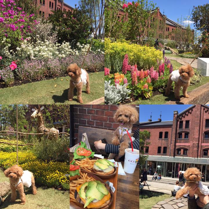 B08c12d2 9a18 4a71 acee c92a8fa6cb41