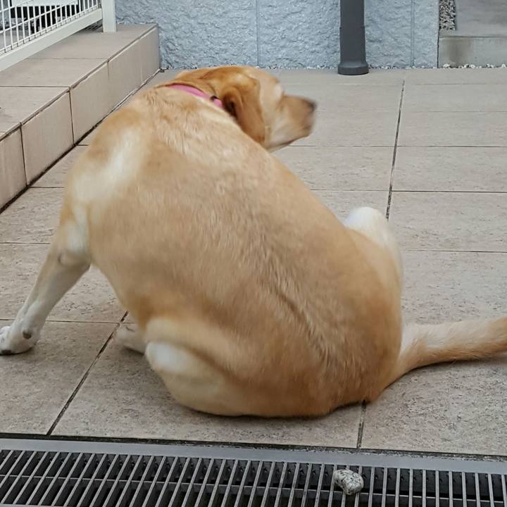 B08cf320 1314 4042 bcd5 9980efb1cac2