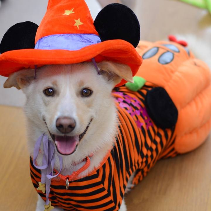 B08d828e 712c 46bc 8de5 e6700b7572b0