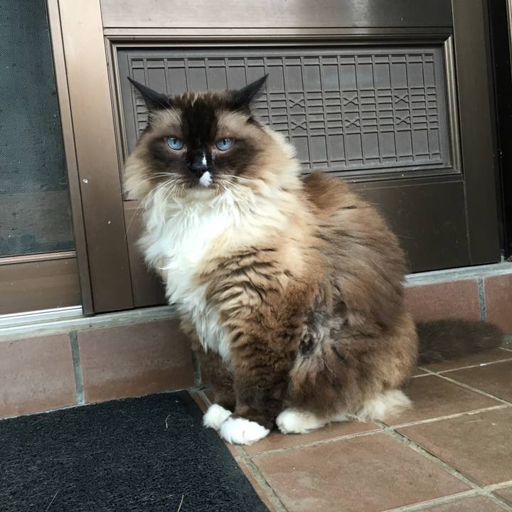 B08d8e04 ac9b 4db4 bbf0 cf71972703b4