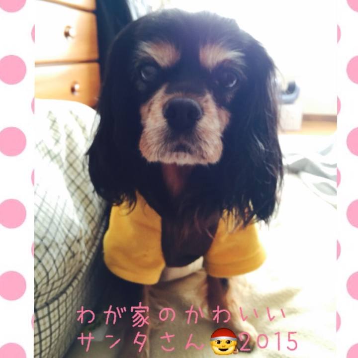 B08e5ac4 cf7b 4eab 9618 a1f2914c2543