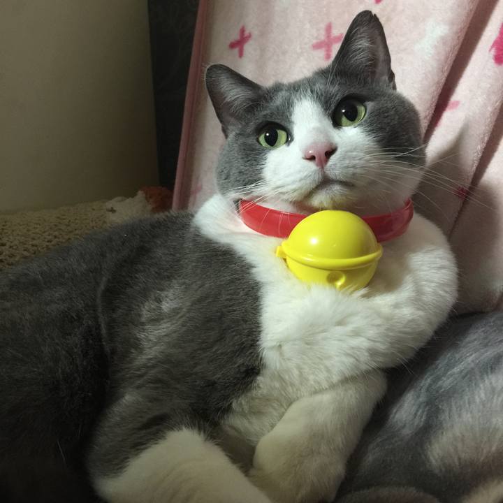 B08ed297 ec7e 4513 8fe4 504e20b03898