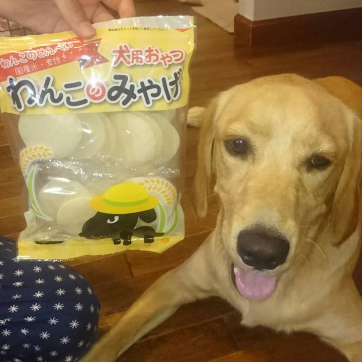 B08eea63 b2de 49e8 8051 2a5a5d8f5454