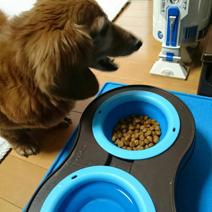 B08f2e2f 7573 4649 aa5c f72f7713061b