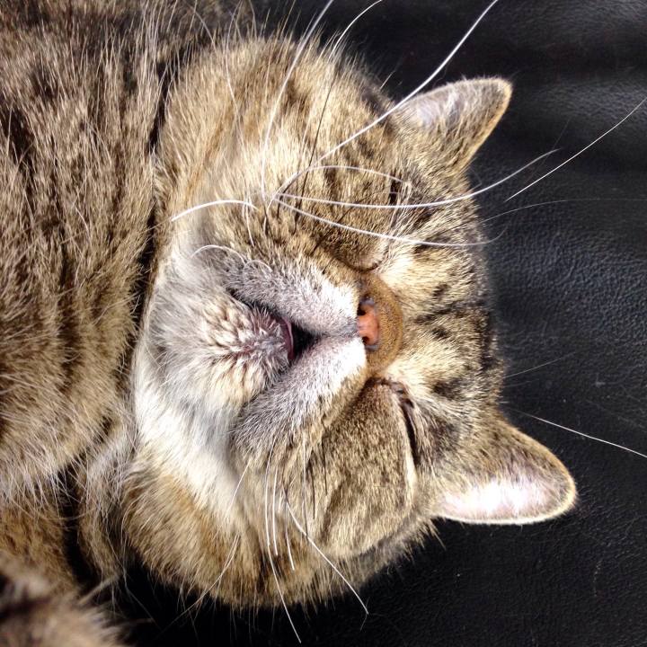 B08ff981 2e2a 4aba 8a87 2f56539f8e8c