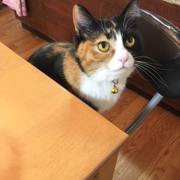 B090d5d7 2fe0 417c aa7b b3235fdf2787