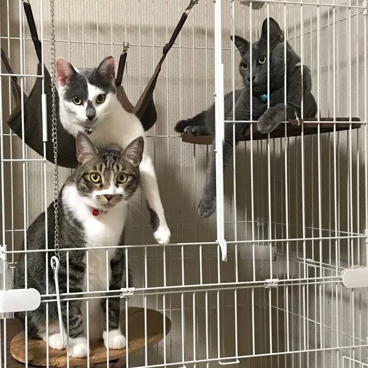 B091b5d3 3c8d 41a4 a72f 5d62f00ff89a