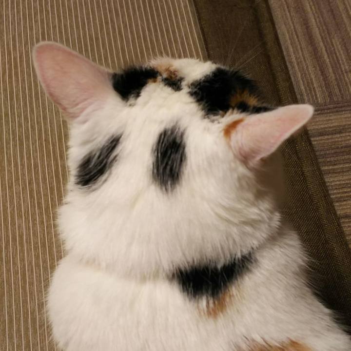 B091d1d8 cae9 4b9f 9bab b5cececdec3f