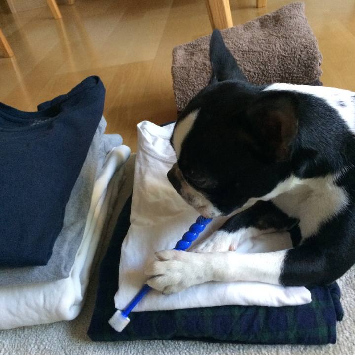 B0927d3e 5bf4 40c0 96a5 49a81df629f6