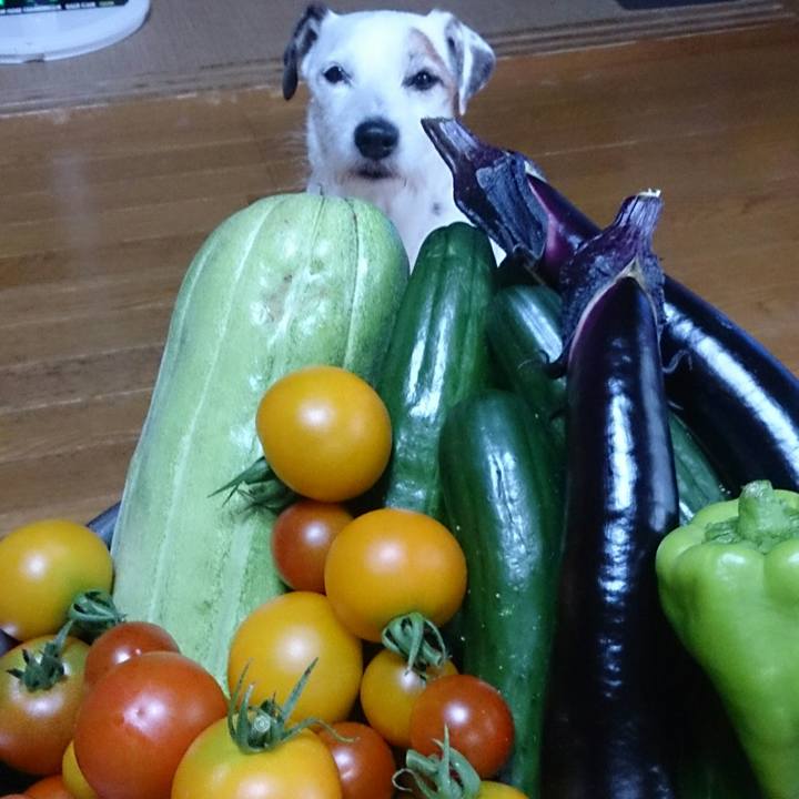 B092b1c6 551b 4337 b750 317c9c14d5e7