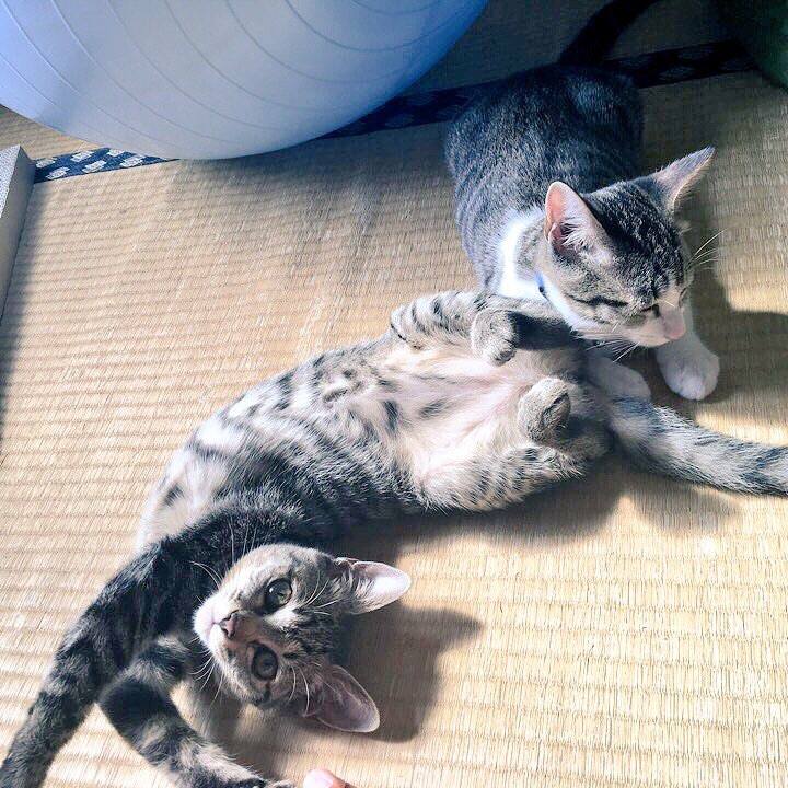 B092b5e3 2856 4f6e b31b 7b2a90ded712