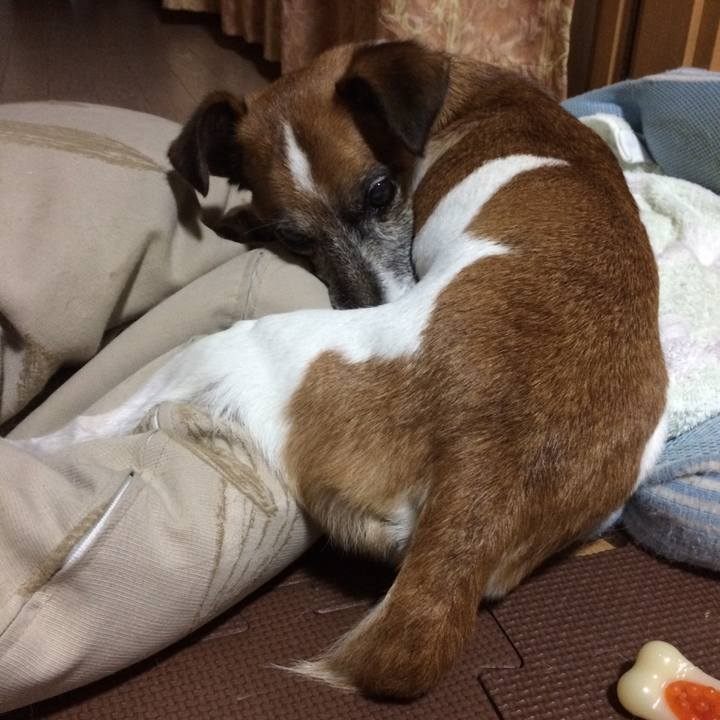 B0938eef 094e 4541 9657 06ce0b2f1c16