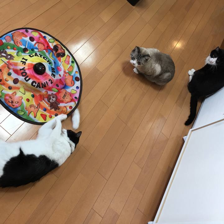 B094182c 8b2c 48cb ae2b 42e08f4c83d0