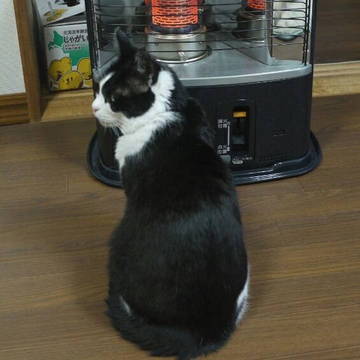 B0945ad8 dad8 4428 bed2 3594cafd1e13