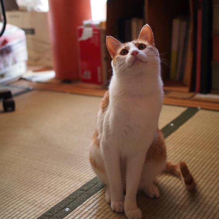 B094ac9a 2b95 4025 9285 363931115c95