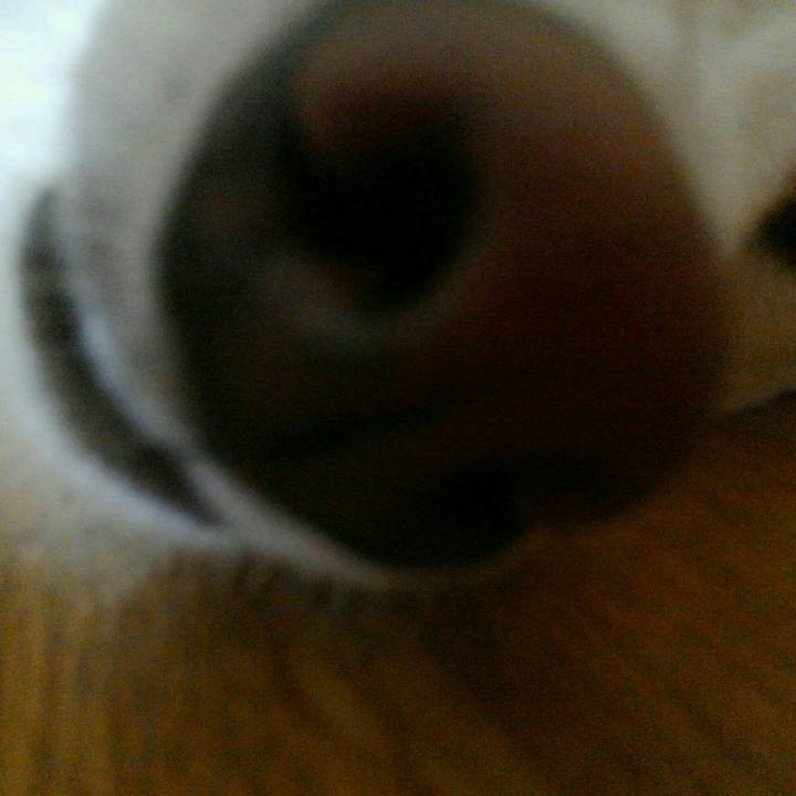 B094d1b6 2506 4dc1 932f caee24c13dc8