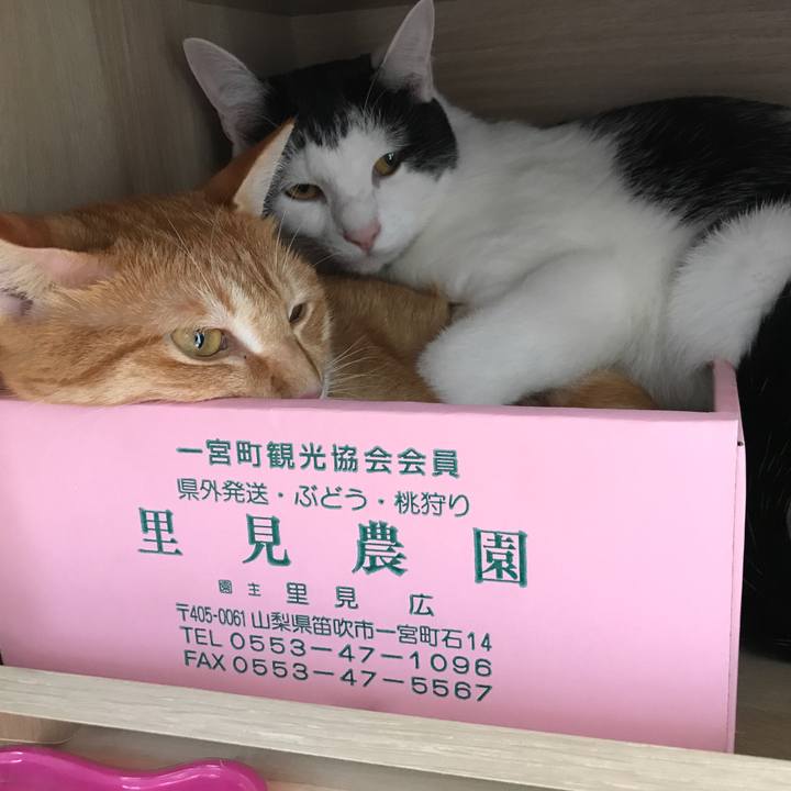 B0955201 a60a 4162 9964 721faa5a28ef