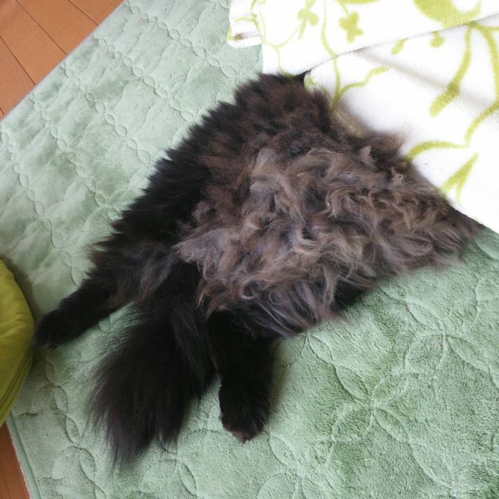 B09649b0 0447 4cc6 842d 7ddeb0054d4d