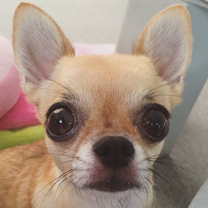 B0969681 fff9 481c bdf2 538f1f09f0e4