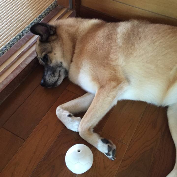 B096f957 7f12 494e a827 d0612a81b6f9