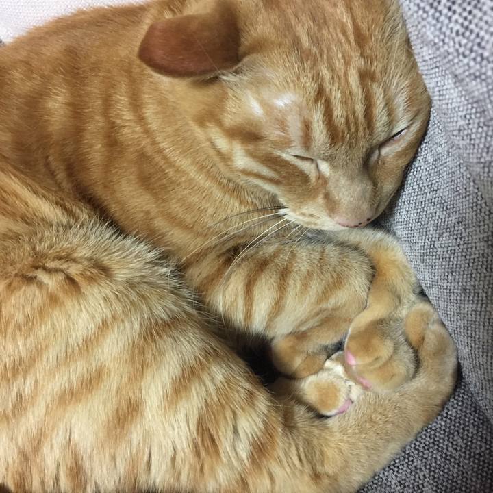 B0971f25 0a0c 4e43 bbca 94f54a3f67b0